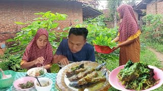 Aktivitas Hidup Di Desa,Memasak Sayur Lele Kuah Santan Pedas Dan Kulupan Daun Singkong,MakanBersama