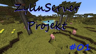 Let´s Play ZylinServer #01| Sehr Viele  Schweine | [Ger + HD]