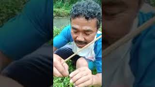 mancing ikan parai menggunakan racikan umpan khusus dari bapak jimi cs