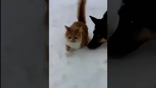 Attention, il va y avoir de la neige :)