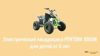 Электро квадроцикл для детей от 6 лет Pentora в Zel-moto