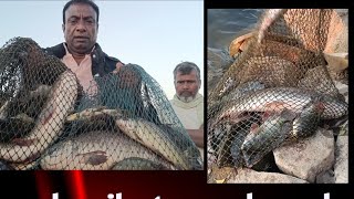 big rohu fishing 🎣/ Golconda fishing 🎣/hyderabad fishing 🎣/Telangana fishing 🎣/singur backside dam 🎣