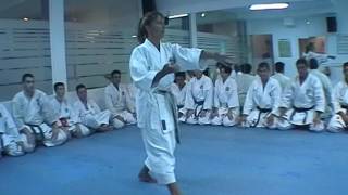 Ju roku kata+bunkai - Mercedes Arazola Pares | Best Kata Collection