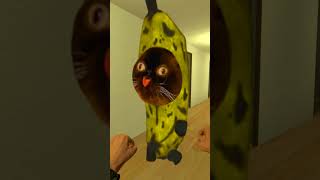 Bananacat and Apple Trap #gmod 😹🍌🍎