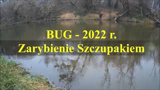 BUG  2022 r. - Zarybienie Szczupakiem