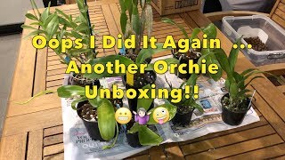 Orchid Unboxing - Oops, I accidentally bought more orchies ¯\_(ツ)_/¯