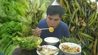 ASMR FOOD STEAMED FISH WITH TAMARIND JUICE MUKBANG EATING