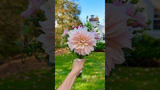 Cafe AuLait Dahlia in a Bridesmaid Bouquet