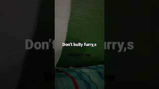 don't bully furries