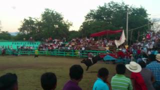 toros fiestas patropnales 2012 2