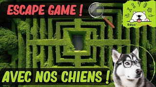 🐾 Escape Game Canin : Résolvez Mystères et Puzzles avec Nos Chiens ! 🕵️‍♂️🧩