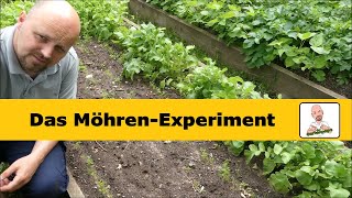 Das Mören Experiment