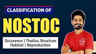 Cynophyceae : Nostoc Algae in Hindi | Classification of Nostoc Habitat, Thallus Structure 01