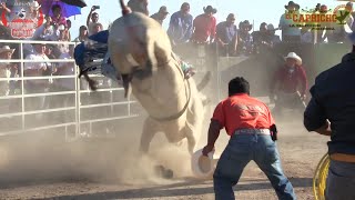 Arierita de Oaxaca vs gordo mata de rancho el CAPRICHO