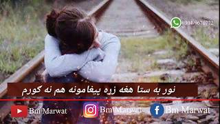 Whatsapp Status | Shoaib Payan Poetry| Tik Tok Status | Pashto Hd Tv