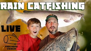 Catfishing in the RAIN! PB Catfish hunting live