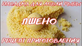 Пшено – насадка для ловли рыбы