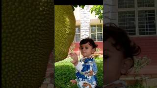 playing with crazy Jackfruit #shorts #trending#kids playing#joyfullkid #cute expression#🥰boy#socute