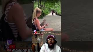 The monkey ran his fade☠️ #reaction #reactionvideo #comedy #funny #fyp #tiktok #twitch #fypシ゚viral