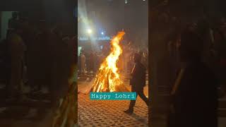 Lohri Celebration #ytshorts #lohricelebration #festivals