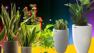 What pot size use for plants/container gardening