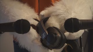 [Furry ASMR] Sennheiser GSP 370 Headset Sounds | Headset Tapping, Padding, Brushing