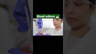 blood culture #shorts