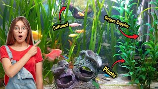 🚨 Most Important ⚠️ Things For Good Aquarium ✅️