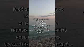 #рекомендации #shortvideo #мысли #цитаты