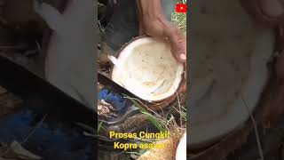 INILAH CARA CUNGKIL KOPRA ASALAN #kopraasalan #belahkelapa