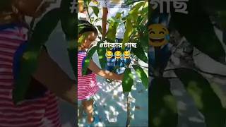 #funny vedio (টাকার গাছ) 😂😂😂