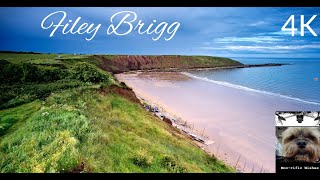 FILEY BRIGG (2022) #drone #djimini2 #northyorkshire #4k #geology #coast