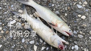 [北海岸釣點分享] 11/18  北海岸 午魚靠岸  釣況分享 ！！ 記得 訂閱 才能收到第一手釣況資訊 謝謝！！