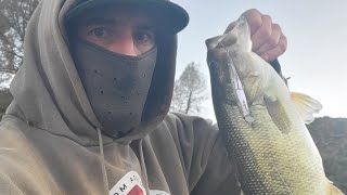 Jerkbait fishing at Santa Margarita lake!