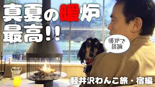 【犬連れ旅行軽井沢宿編】犬と泊まれる宿 ゆとりろガーデン北軽井沢withDOGSさんにお値段以上ステイ🐶🐶💤一泊二日わんこ旅2/3 旅するペットショップの売れ残りと元保護犬