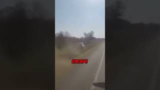 Police Chase Ends Badly For The Thieves! 😨