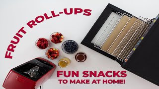 Fruit Roll-ups. Make fun snacks for the kids! -BioChef Savana Food Dehydrators