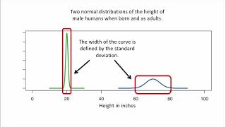 Normal Distribution of Data