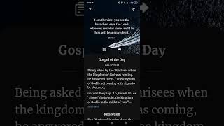 The 96th Day of the Daily Gospel | JN 15:5