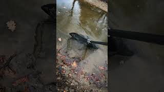 Je sauve ce poisson ultra rare coincé dans ce canal !!!