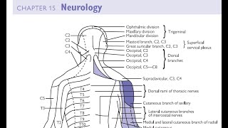 DAY 27_STUDYBUDDY_MRCGP_INTL OXFORD HANDBOOK OF GP