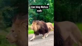 The Lion king 👑 | Mufasa walk Alpha | 👏🙌🔥 #shorts #lionking #wildrivals