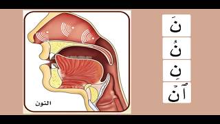 Practicing the letter نون