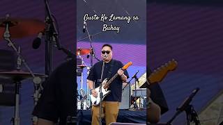 "Gusto Ko Lamang sa Buhay" - Itchyworms #live #concert #circusmusicfestival #shorts #livemusic