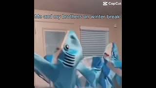 Me and my brothers on winter break: