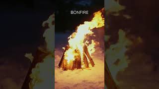 Bonfires | Nature Enthusiast | #shorts #asmr #oddlysatisfying