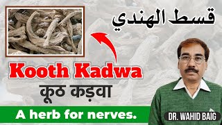 Kooth Kadwa | Herb for Nerve Pain | कूठ कड़वा