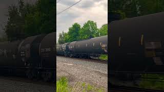 Norfolk Southern 39G passing down a tied down 67E