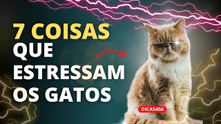 7 COISAS QUE ESTRESSAM OS GATOS