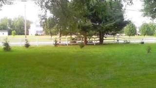 Homes for Sale - 4079 & 4115 Hayes Rd Groveport OH 43125 - Nikki Dinardo